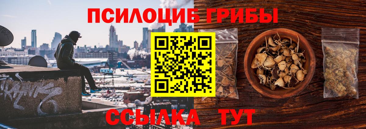 Медногорск  Галлюциногенные грибы мухоморы  Вход с VPN  Псилоцибиновые грибы Magic Shrooms 
